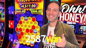 Daily Bonuses 2587win